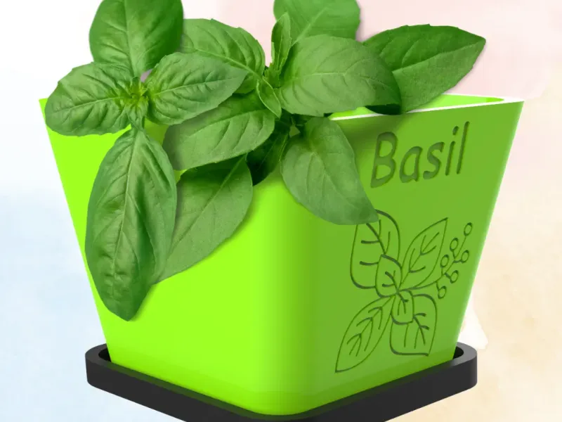 Ensemble de 10 jardinières pour plantes aromatiques