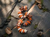 Fluffy Tail Cute Flexi Baby Red Panda - Toy/ Keychain/Magnet-8