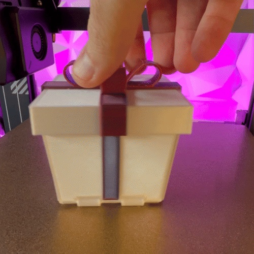 Surprise Gift Box-5