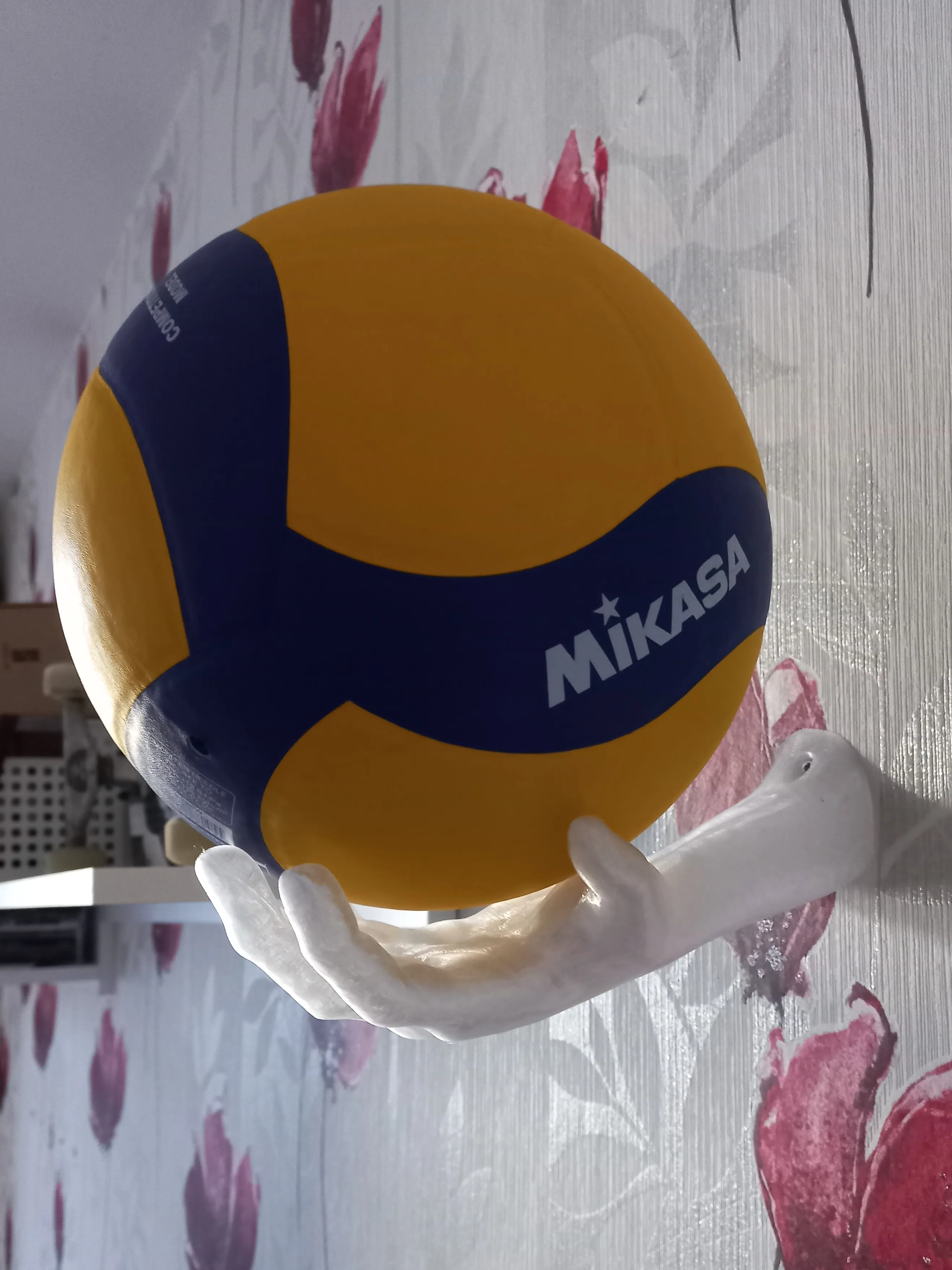 Wall mount ball holder Hand