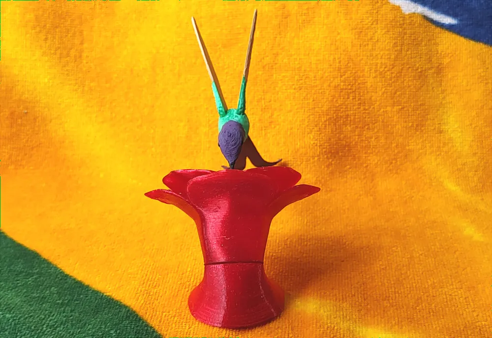 Colibrí