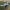 Discover V2 1200 mm Cinematic FPV Plane - Test Files