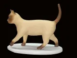 Gato caminando-2