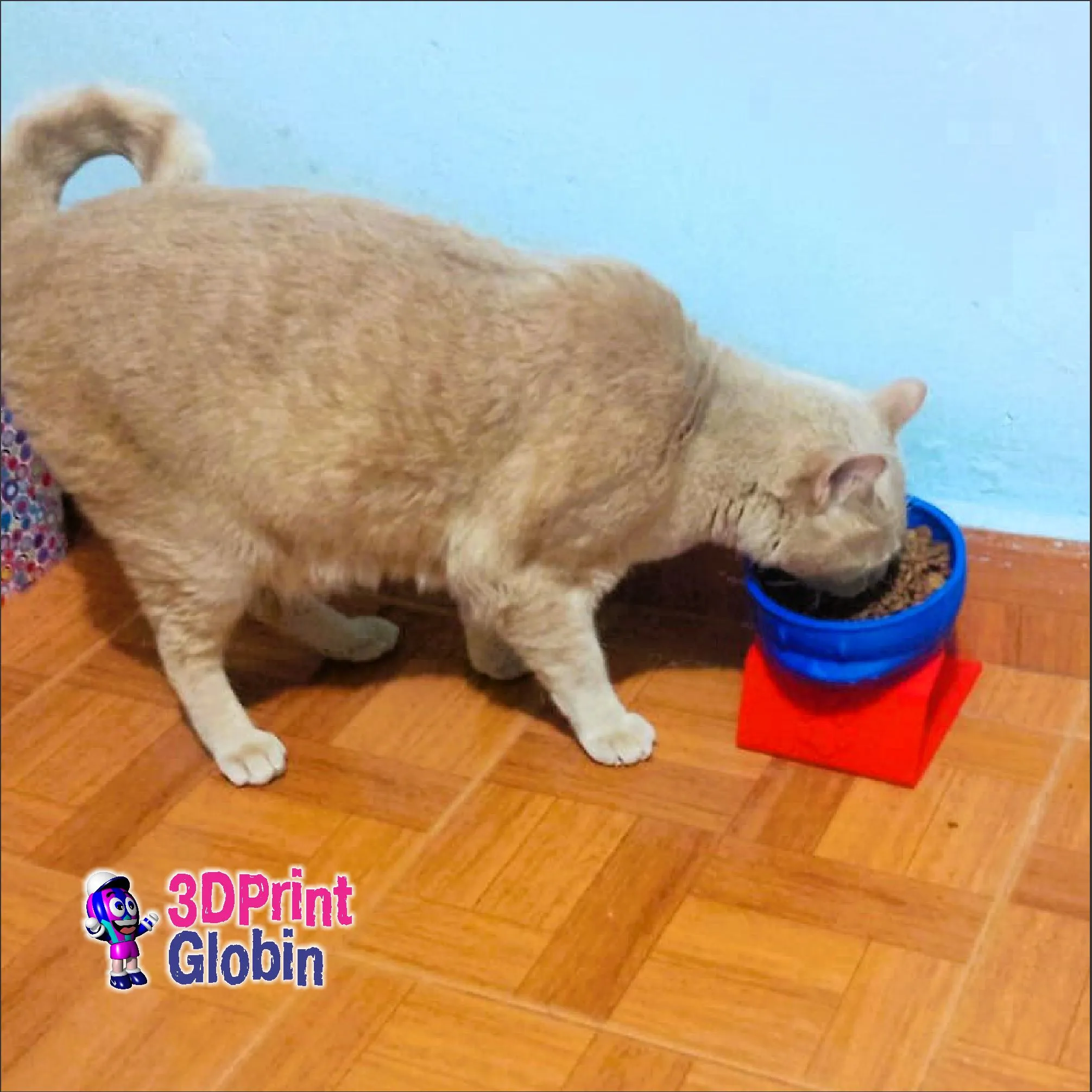 Comedero con soporte elevado para Perro