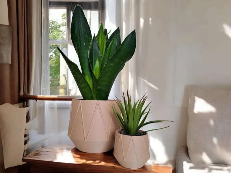 花・植物・多肉植物用幾何学プランター
