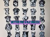 Pack 25 Dog Keychains-1