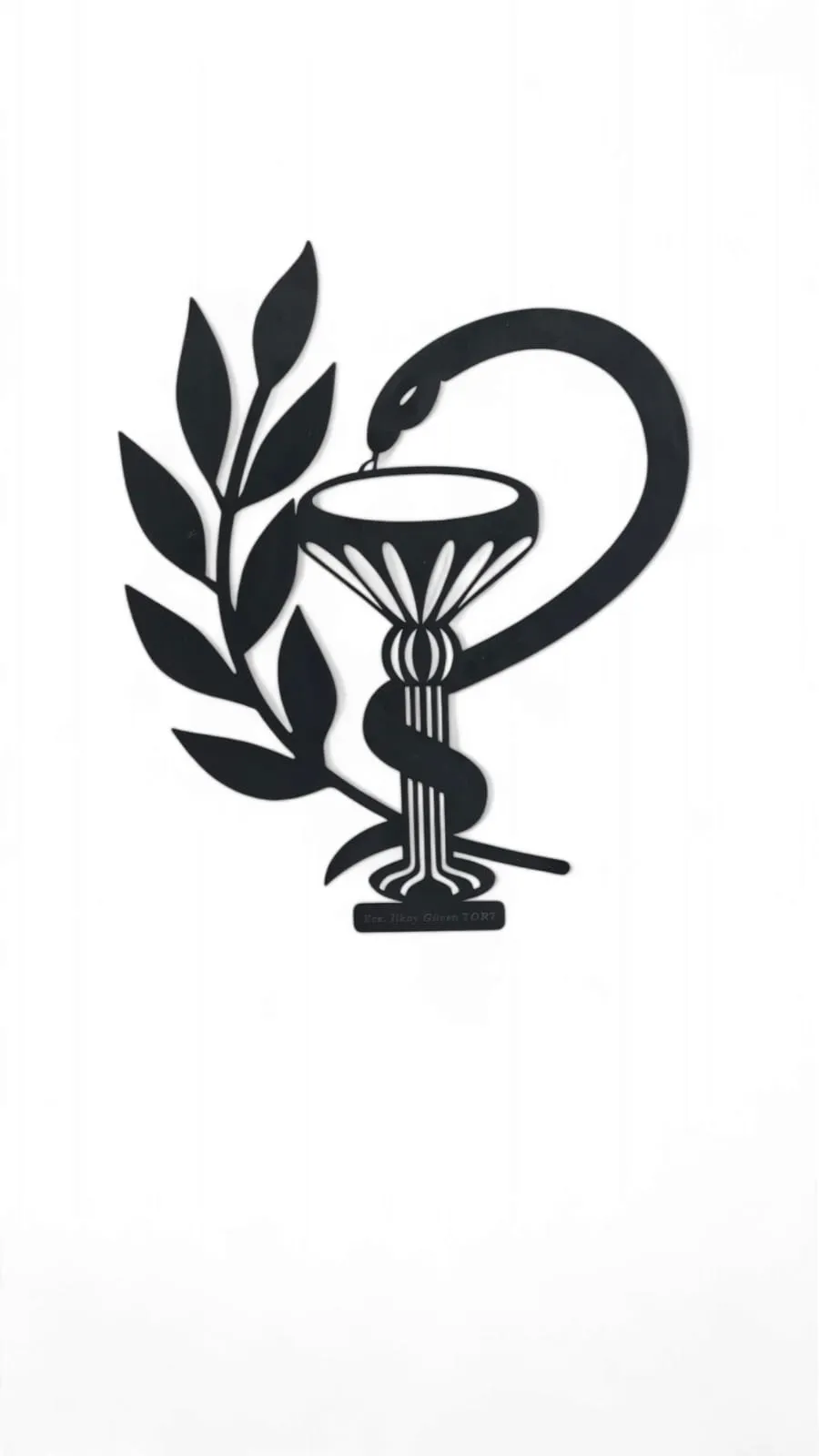 Wall Art-Wall Ornament