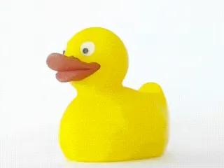 Standing Rubber Duck