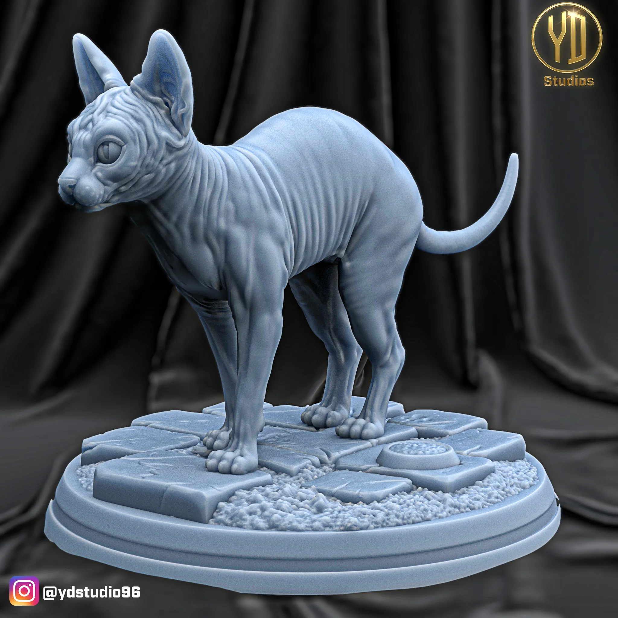 Sphynx-Katze