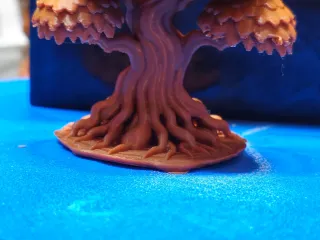 Oak Tree acc