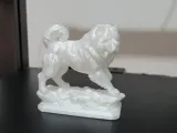 Chow chow-5