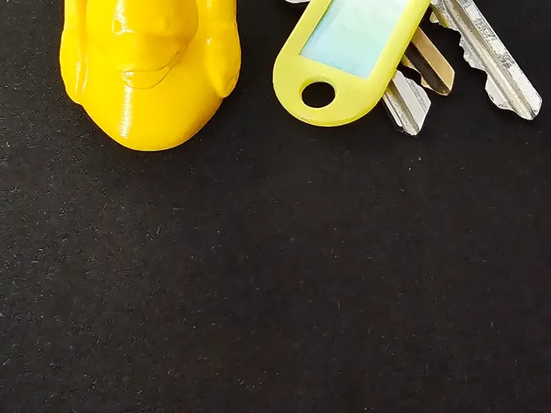 key ring duck