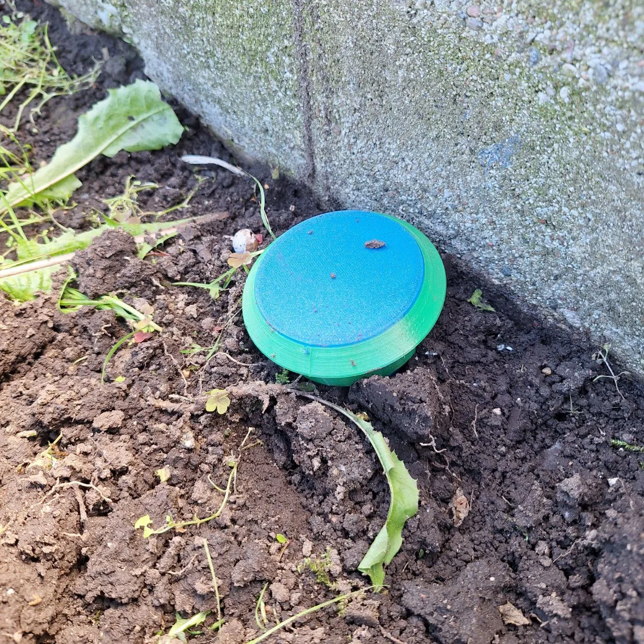 Trappola per lumache e chiocciole