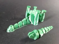 Arti-Brachi-5