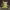 Pokemon - Pikachu Cosplay Mimikyu