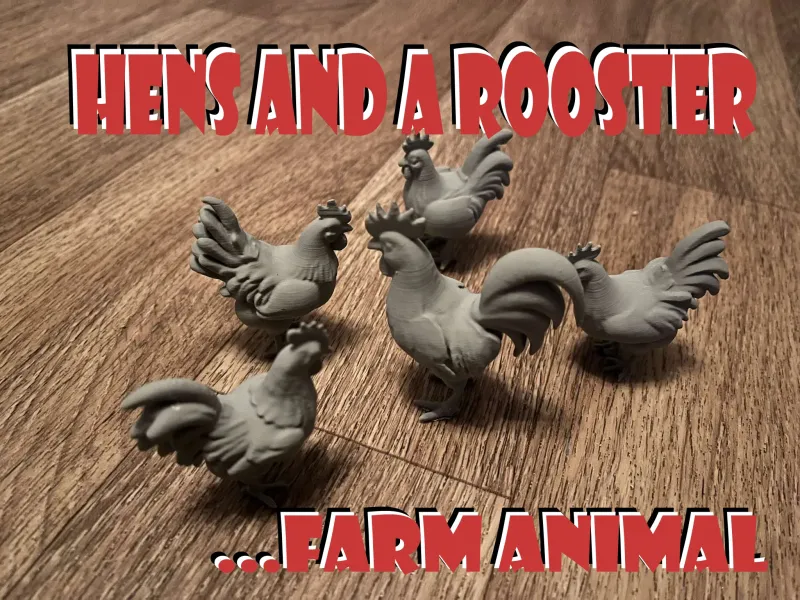 Hens and a rooster