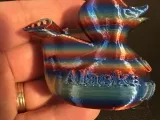 Custom Carnival Whale Tail Duck with Custom Information-2