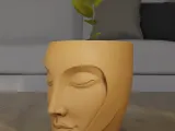 Serenity Face Planter 3D Print Model-2