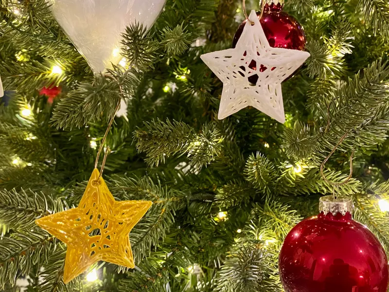Voronoi Star Christmas Tree Ornament