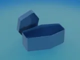 Coffin for pet fish-4