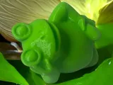Frog cool-2