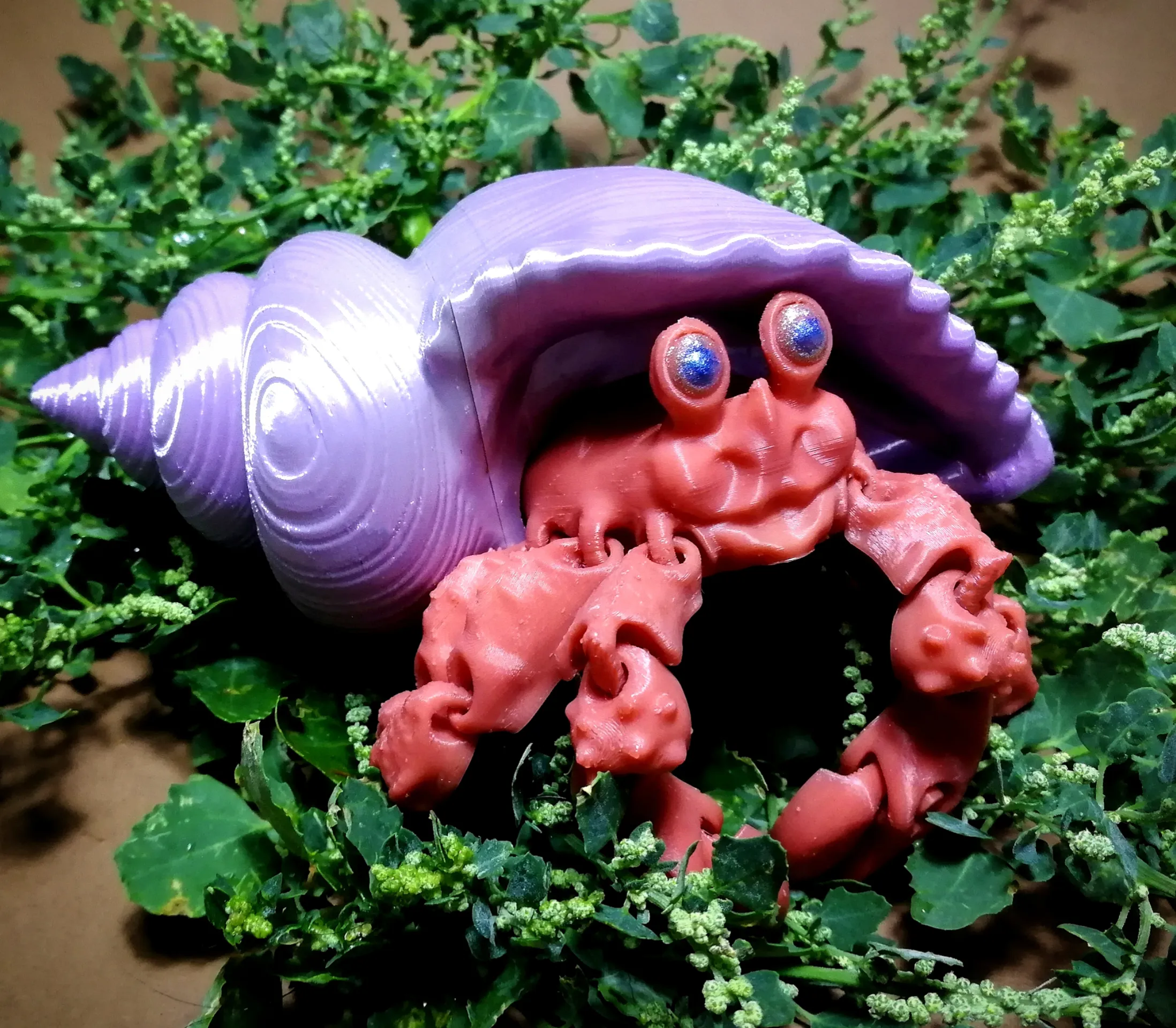 Hermit crab (cute, semi-realistic)