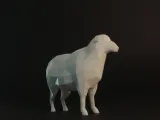 Low Poly Sheep-1
