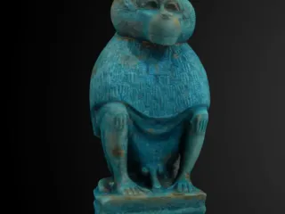 Baboon