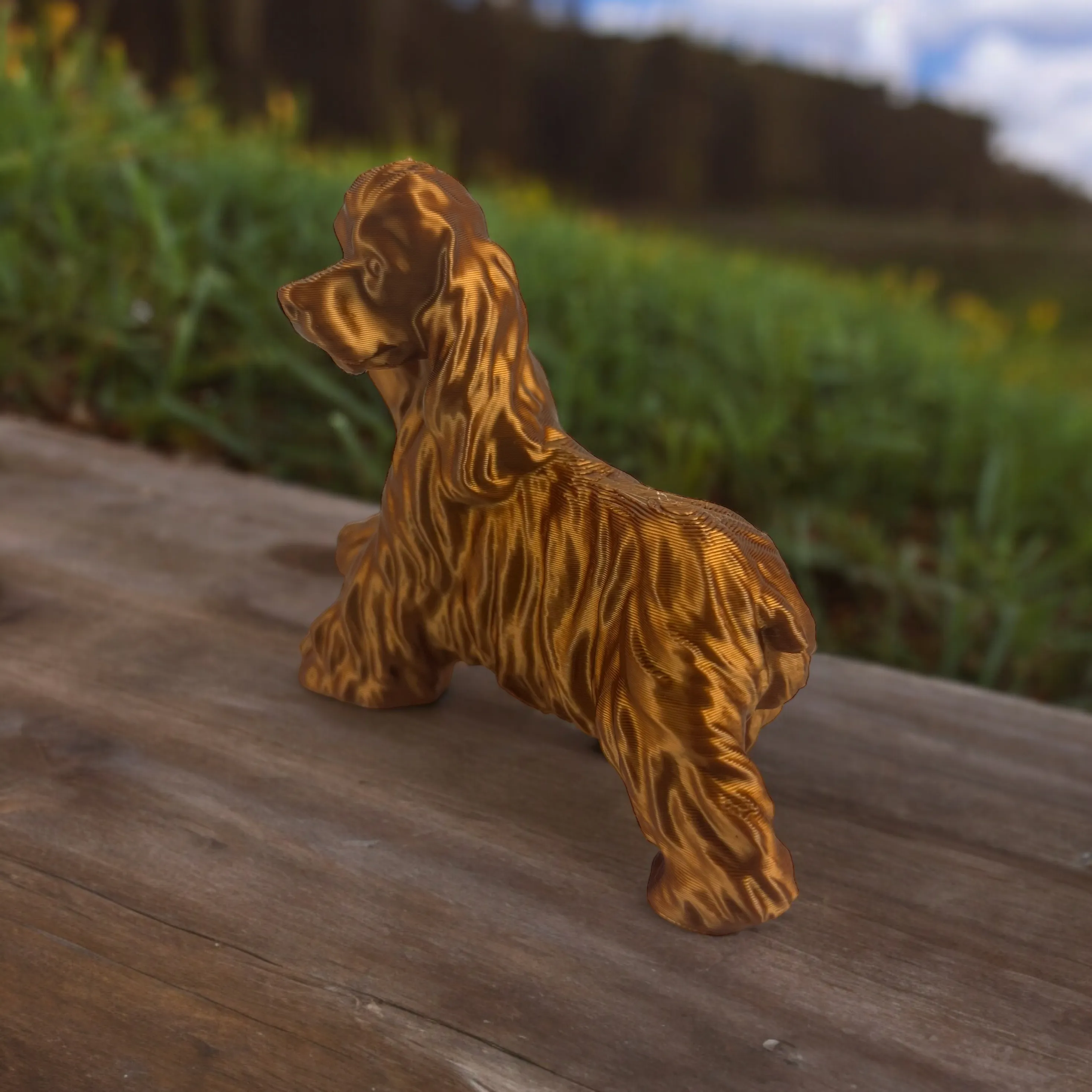 Cocker Spaniel Big