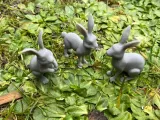 Wild hares-1