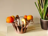 Seed to Fruit Bowl-3