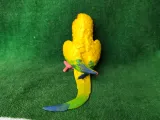 Conure-3