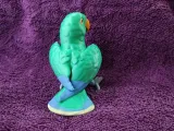 Eclectus-5
