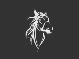 tête de cheval-1