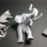 Elephant Desktop Frame-5