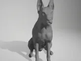dog 04-0