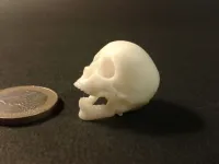 Punk skeleton-1-4