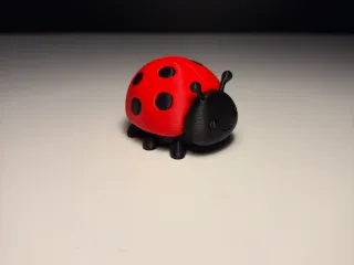 Cute Ladybug