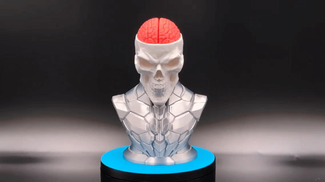 Craniumortis - No AMS / Multi-Part Bust