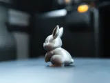 Cute Rabbit-2