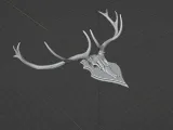 Deer Trophy-7