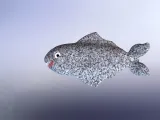 FISHING LURE, FISH BAIT-2