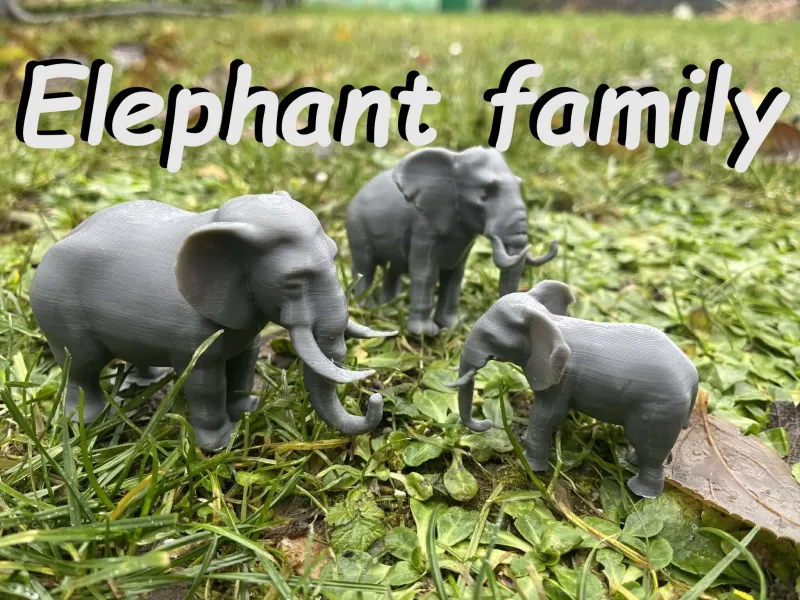 Famiglia di elefanti allo zoo