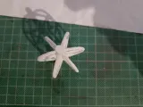 Triple Star Ball-1