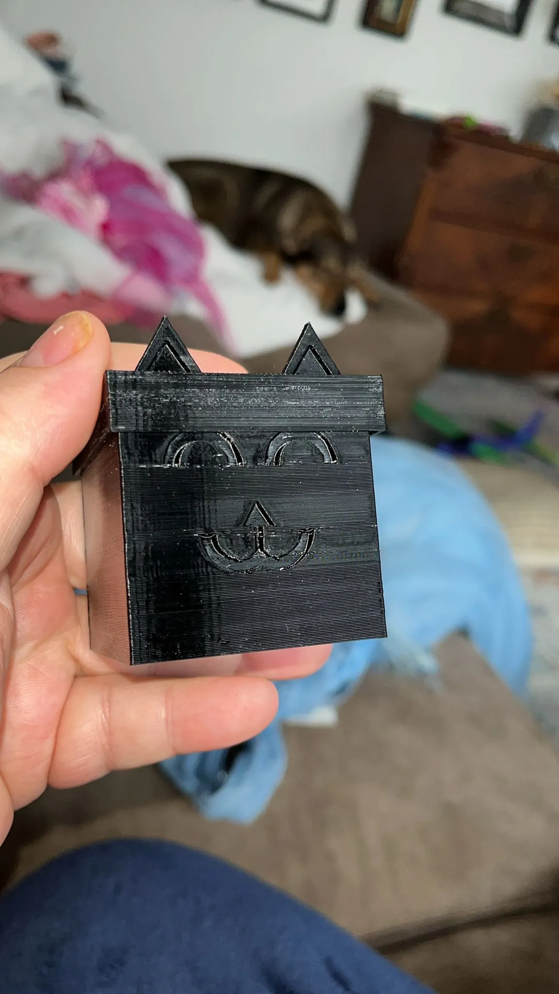 Kitty Mail Parcel inspired by Gabby's Dollhouse