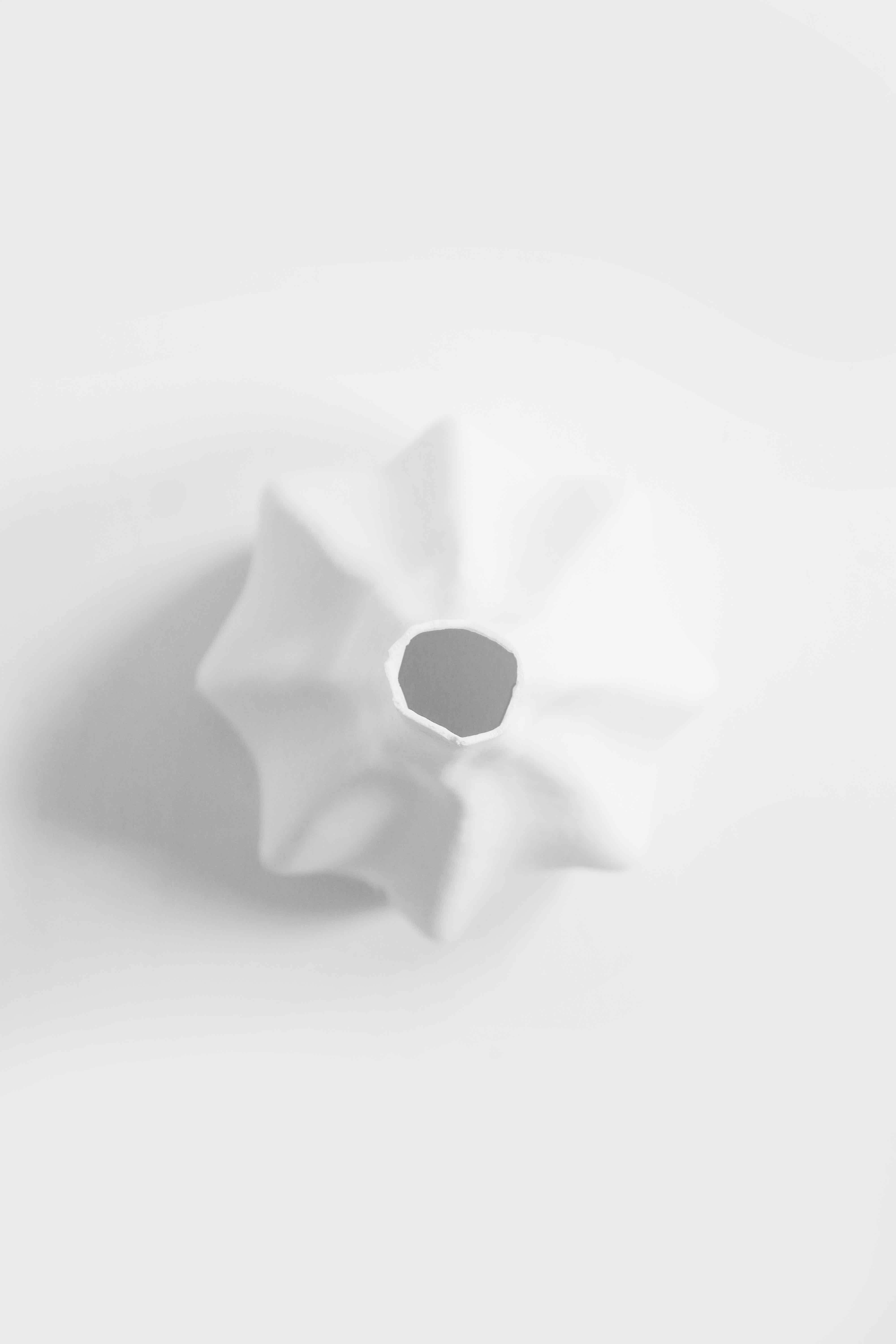 Meringue 3D models download Creality Cloud