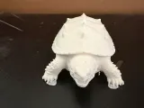 Snapping Turtle-2