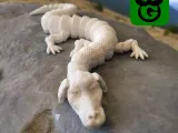 Falkor Flexi (Neverending Story)-0