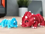 Tiny Triceratops-3