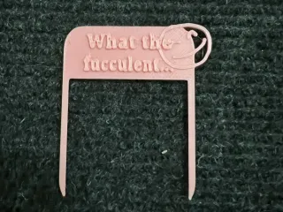 What The Fucculent - Funny Plant Pot Decoration